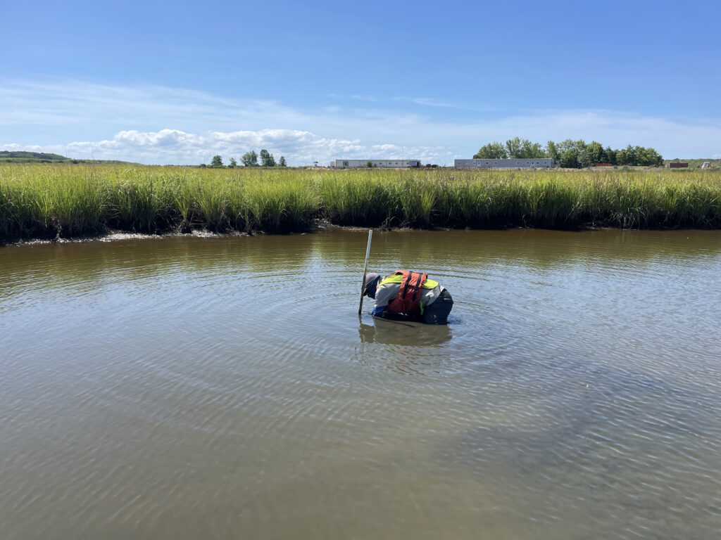 person places an instrument in a body of water